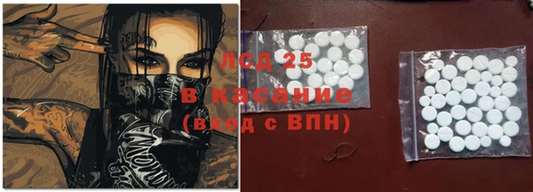 прущие грибы Покровск