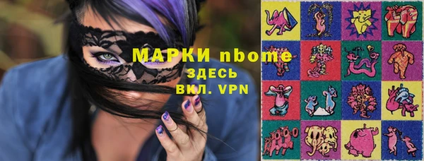шишки Алексин
