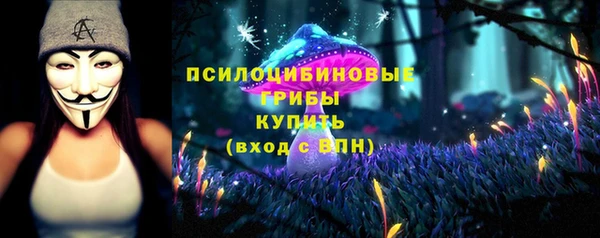 шишки Алексин