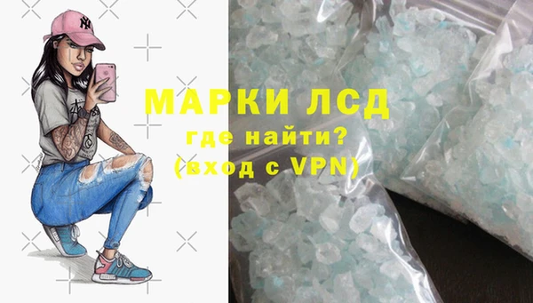стафф Алзамай