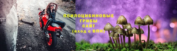 шишки Алексин