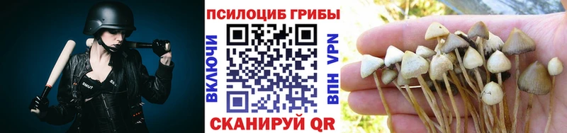 Галлюциногенные грибы прущие грибы Октябрьск